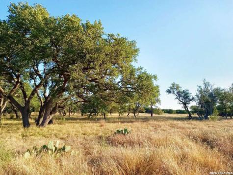 Lot 142 Mulder Drive Center Point TX 78010
