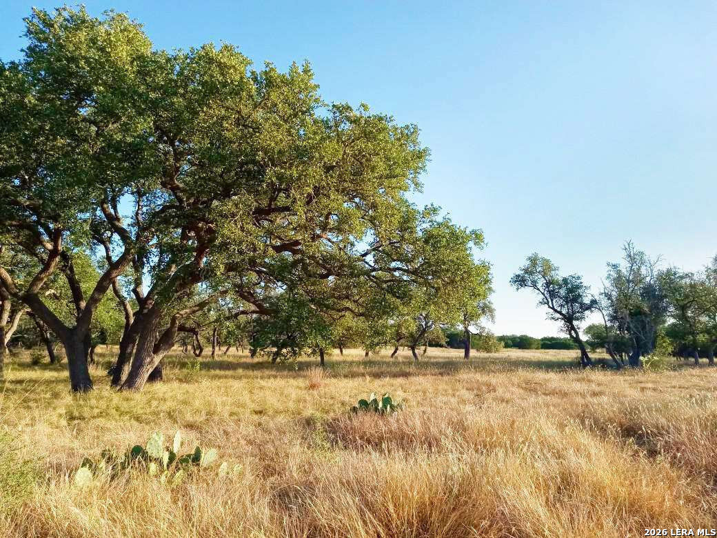Lot 142 Mulder Drive Center Point TX 78010