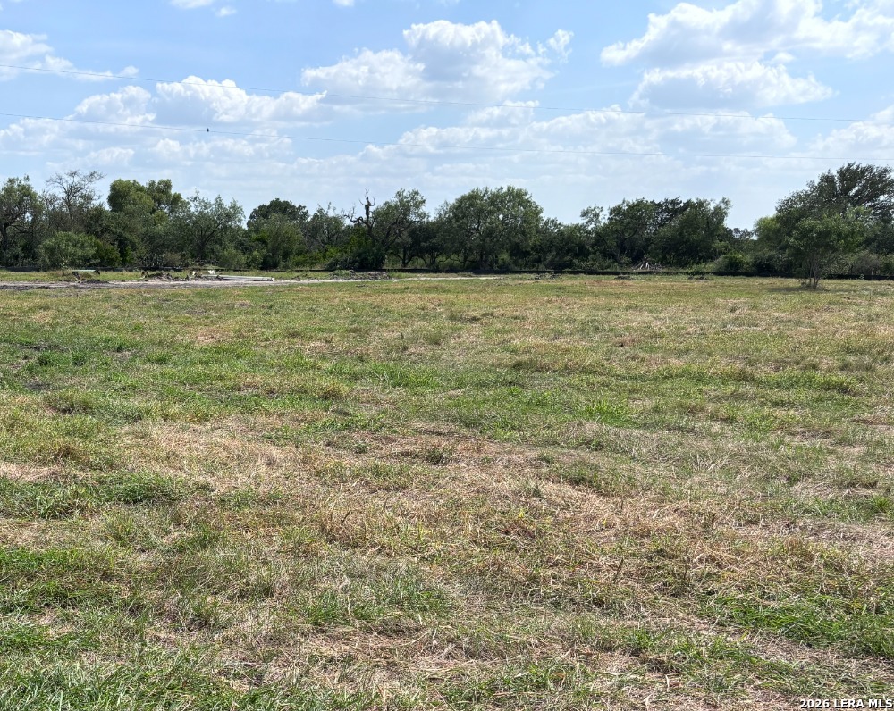 143 Enclave Drive Marion TX 78124