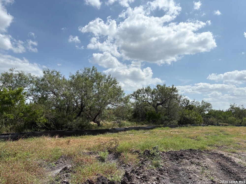 143 Enclave Drive Marion TX 78124