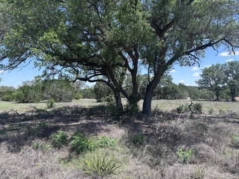 322 Serenity Pass Spring Branch TX 78070