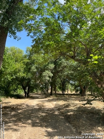 5354 Labus Road Elmendorf TX 78112