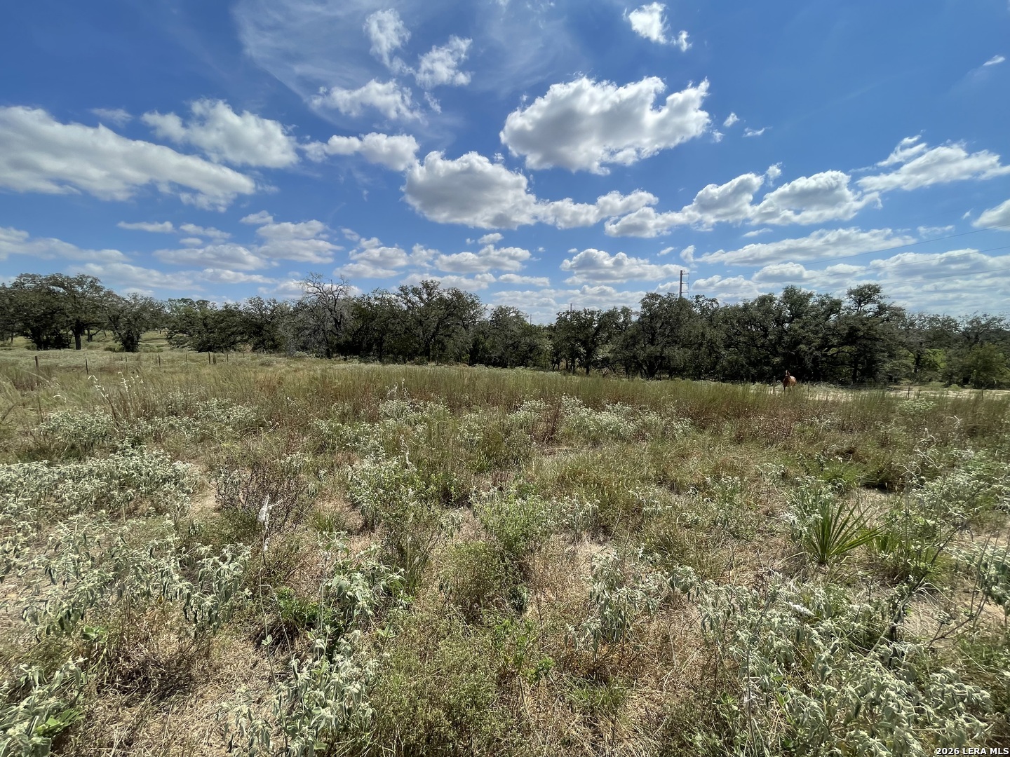 187 County Road 331 Floresville TX 78114