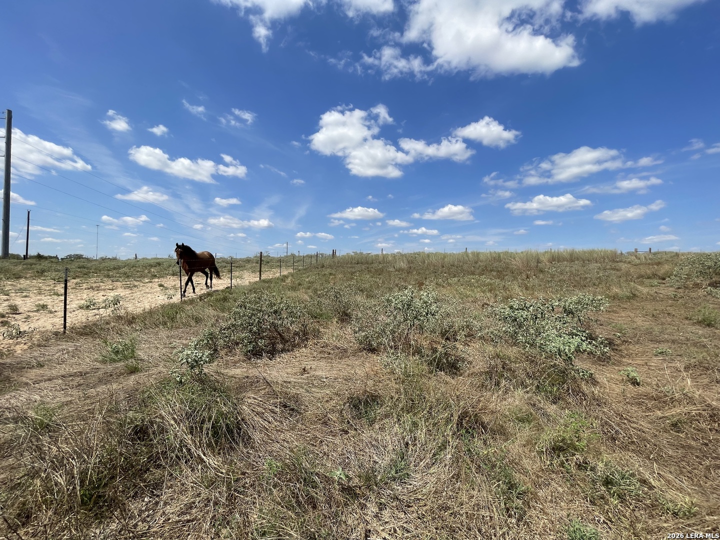 187 County Road 331 Floresville TX 78114