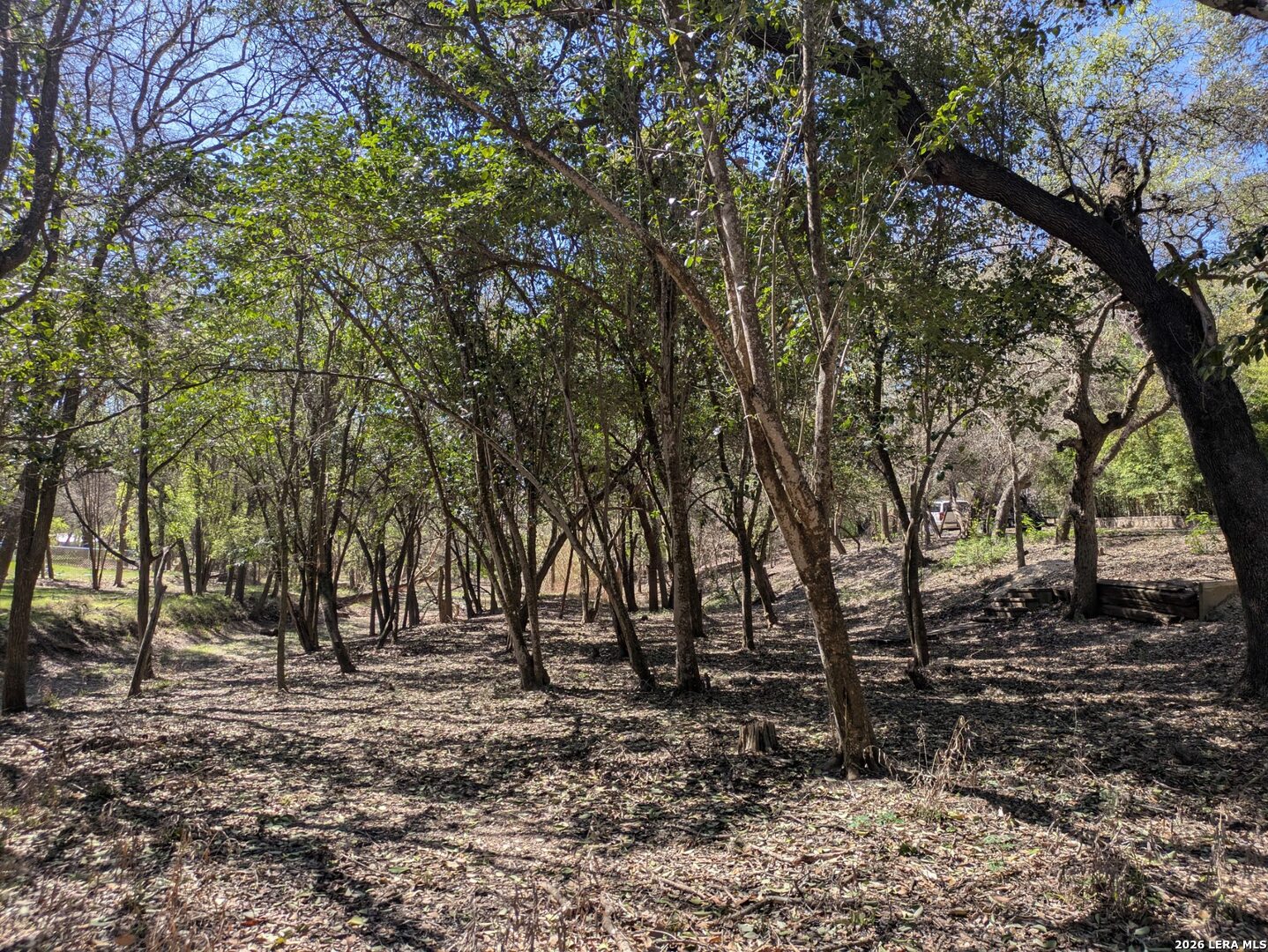 19612 Greenhill Helotes TX 78023