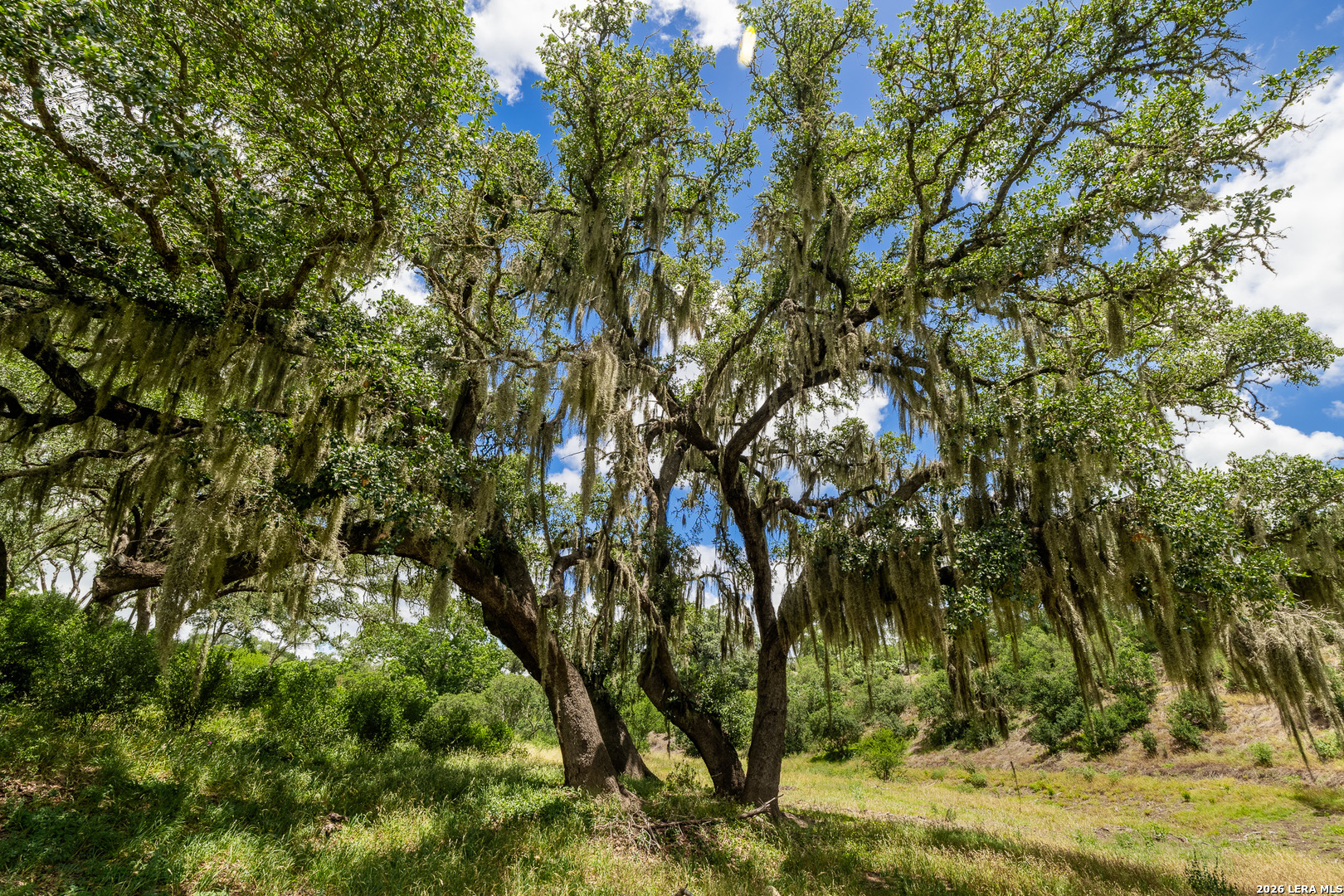0007 Hidden Springs Ranch Spring Branch TX 78070