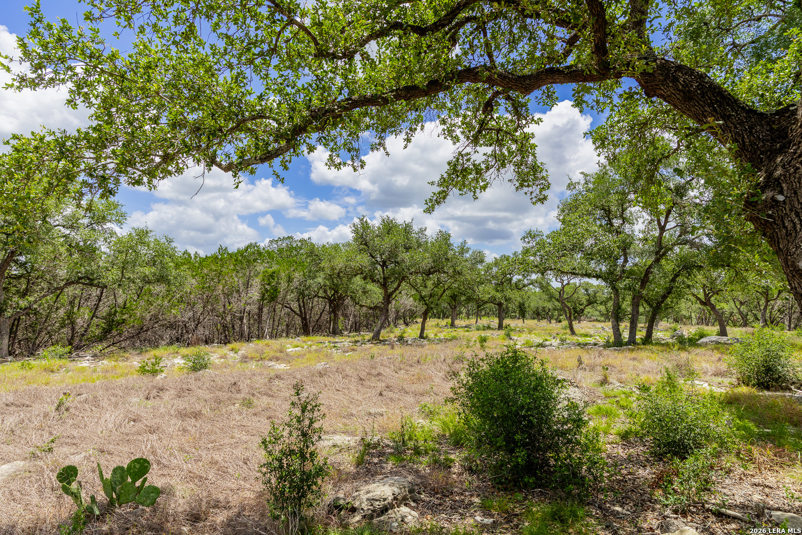 0007 Hidden Springs Ranch Spring Branch TX 78070