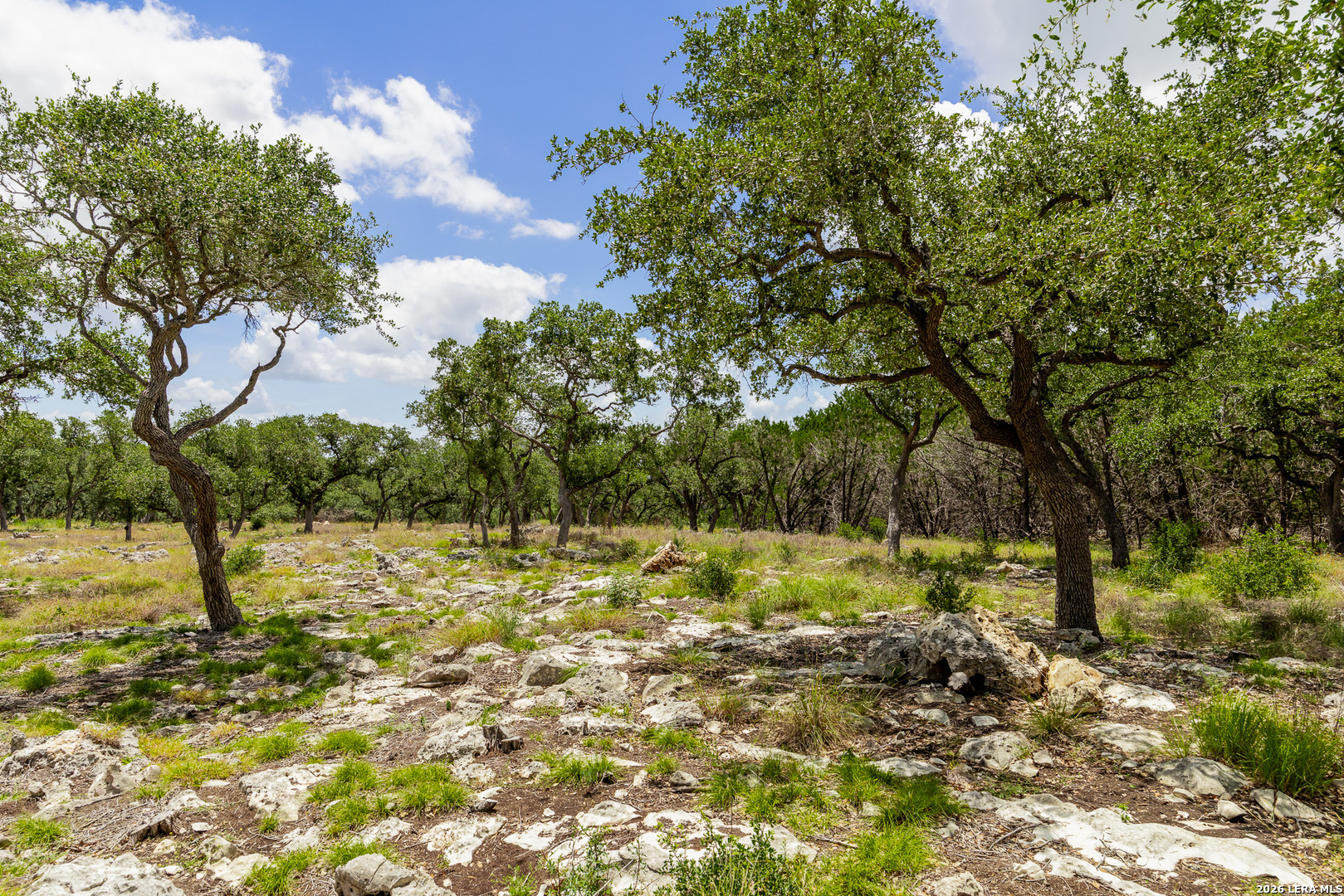 0007 Hidden Springs Ranch Spring Branch TX 78070