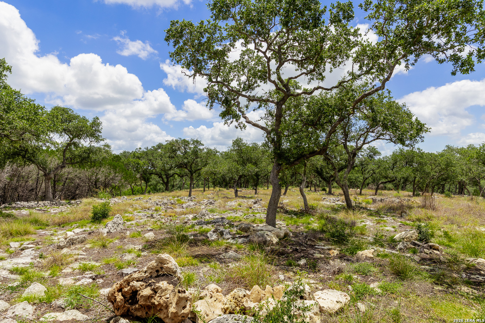 0007 Hidden Springs Ranch Spring Branch TX 78070