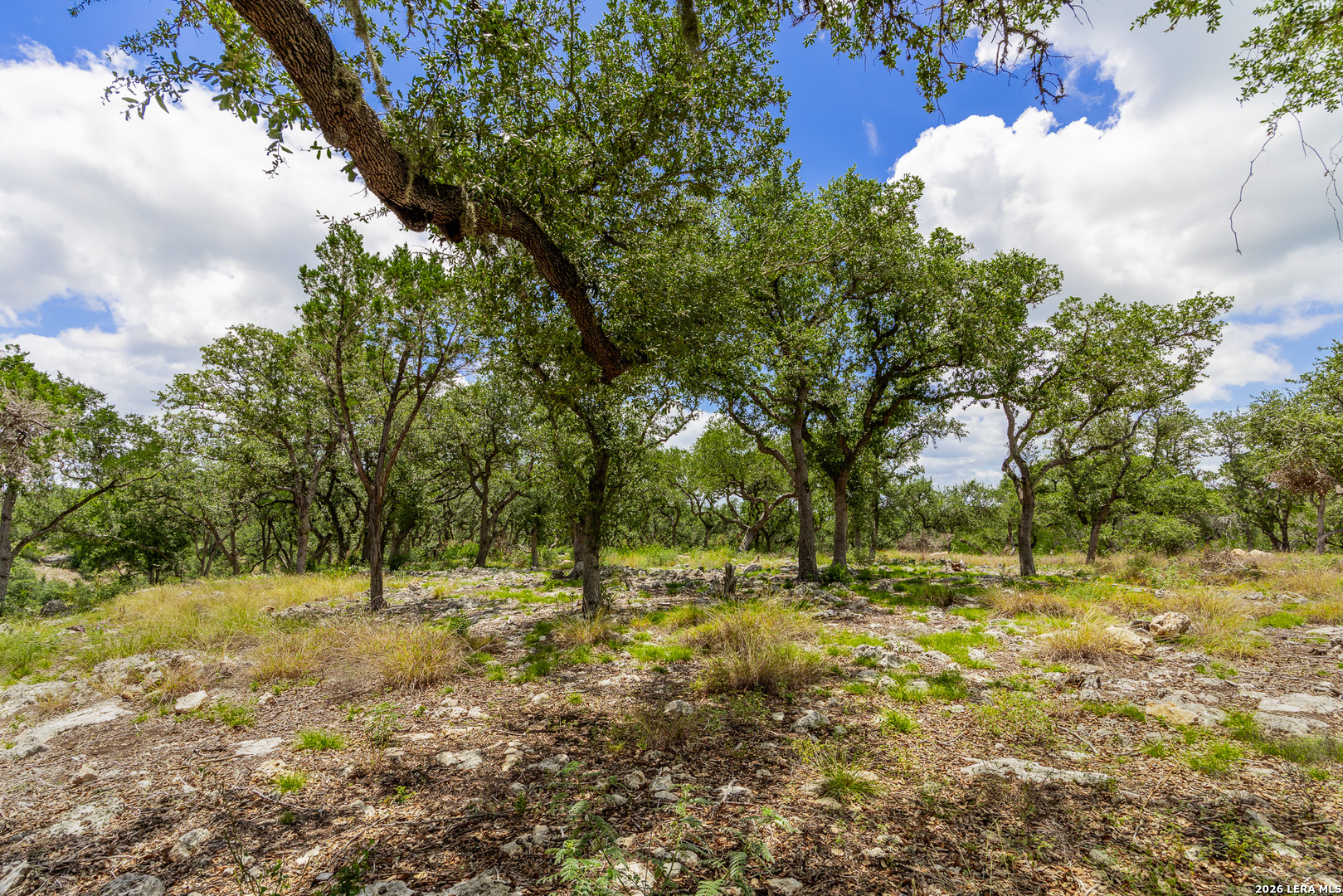 0007 Hidden Springs Ranch Spring Branch TX 78070