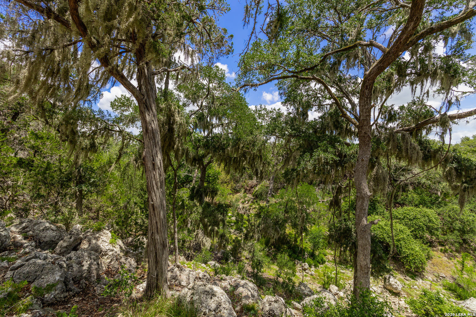 0007 Hidden Springs Ranch Spring Branch TX 78070