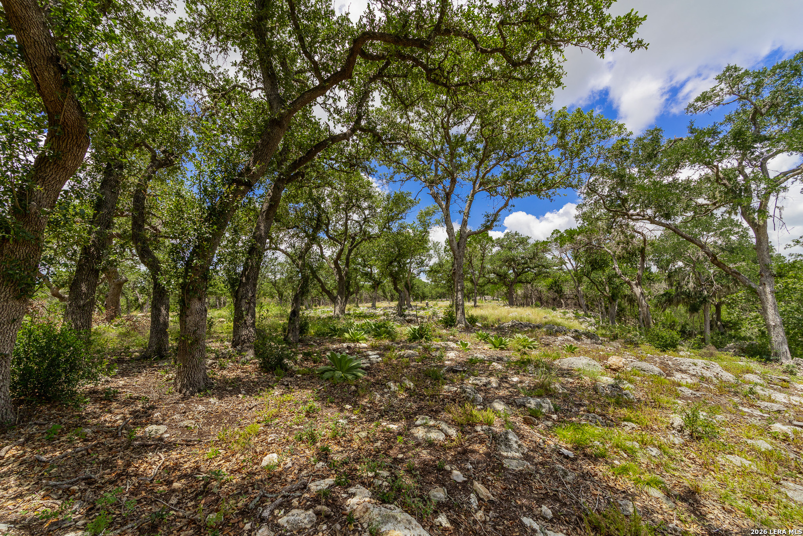 0007 Hidden Springs Ranch Spring Branch TX 78070