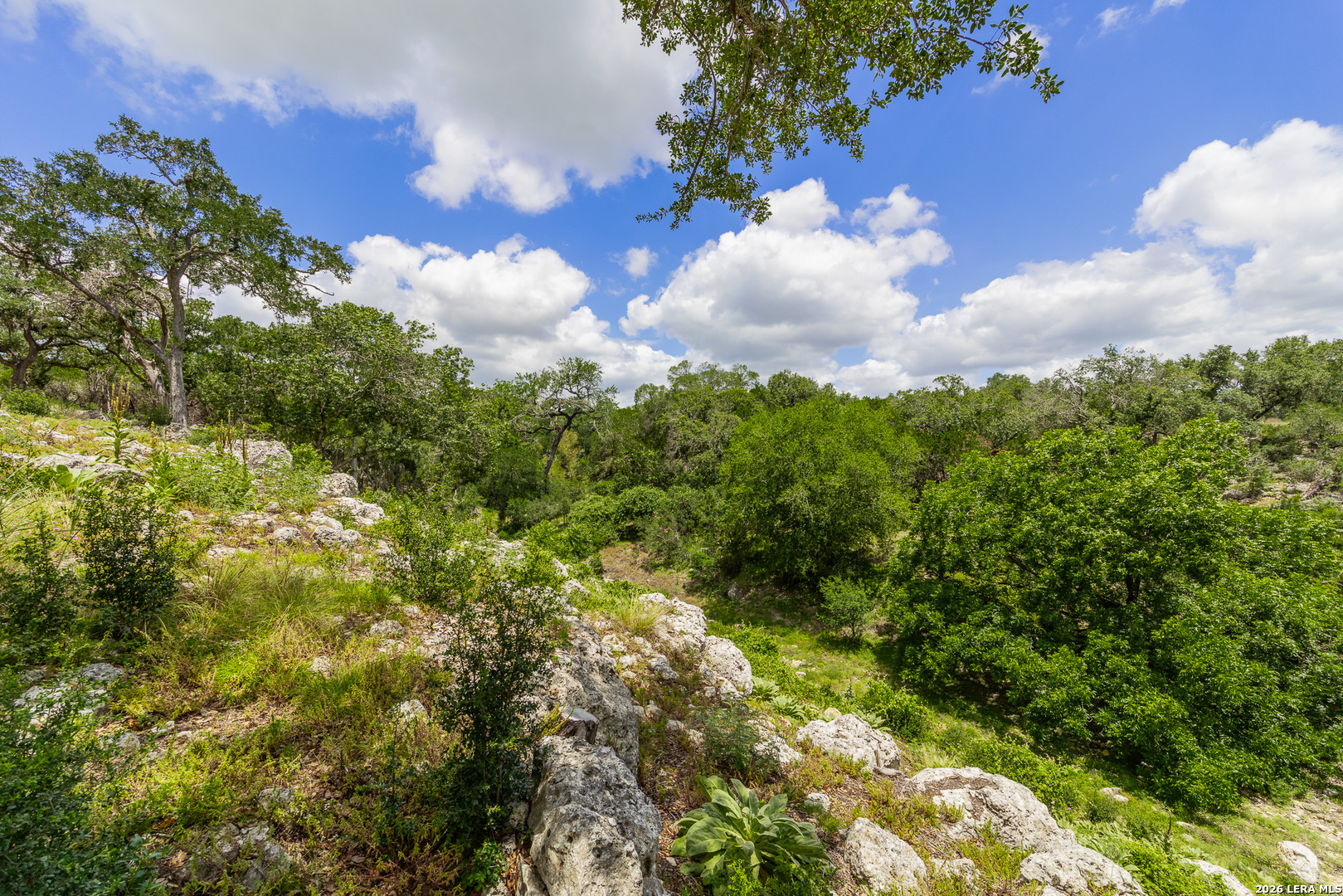 0007 Hidden Springs Ranch Spring Branch TX 78070