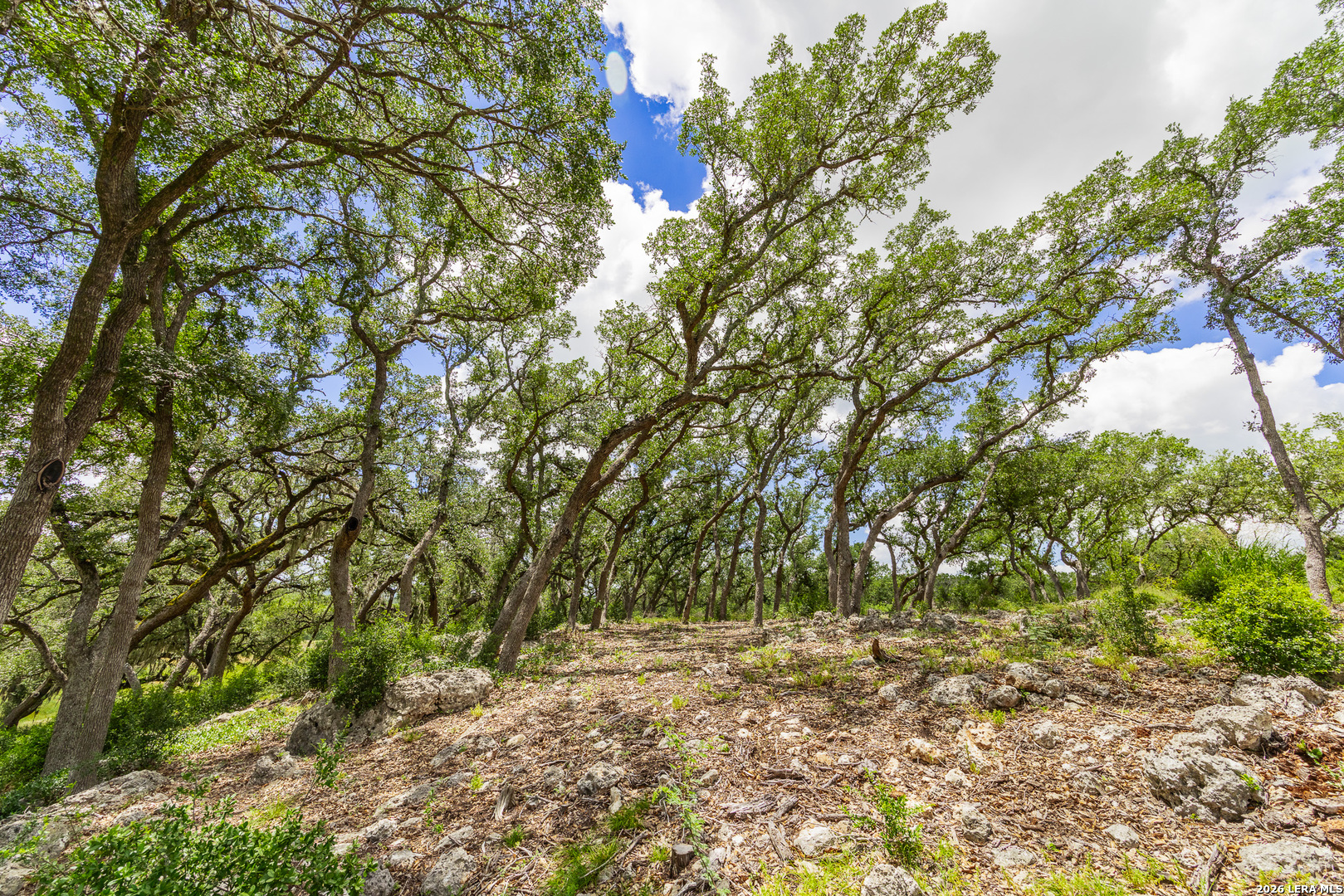 0007 Hidden Springs Ranch Spring Branch TX 78070