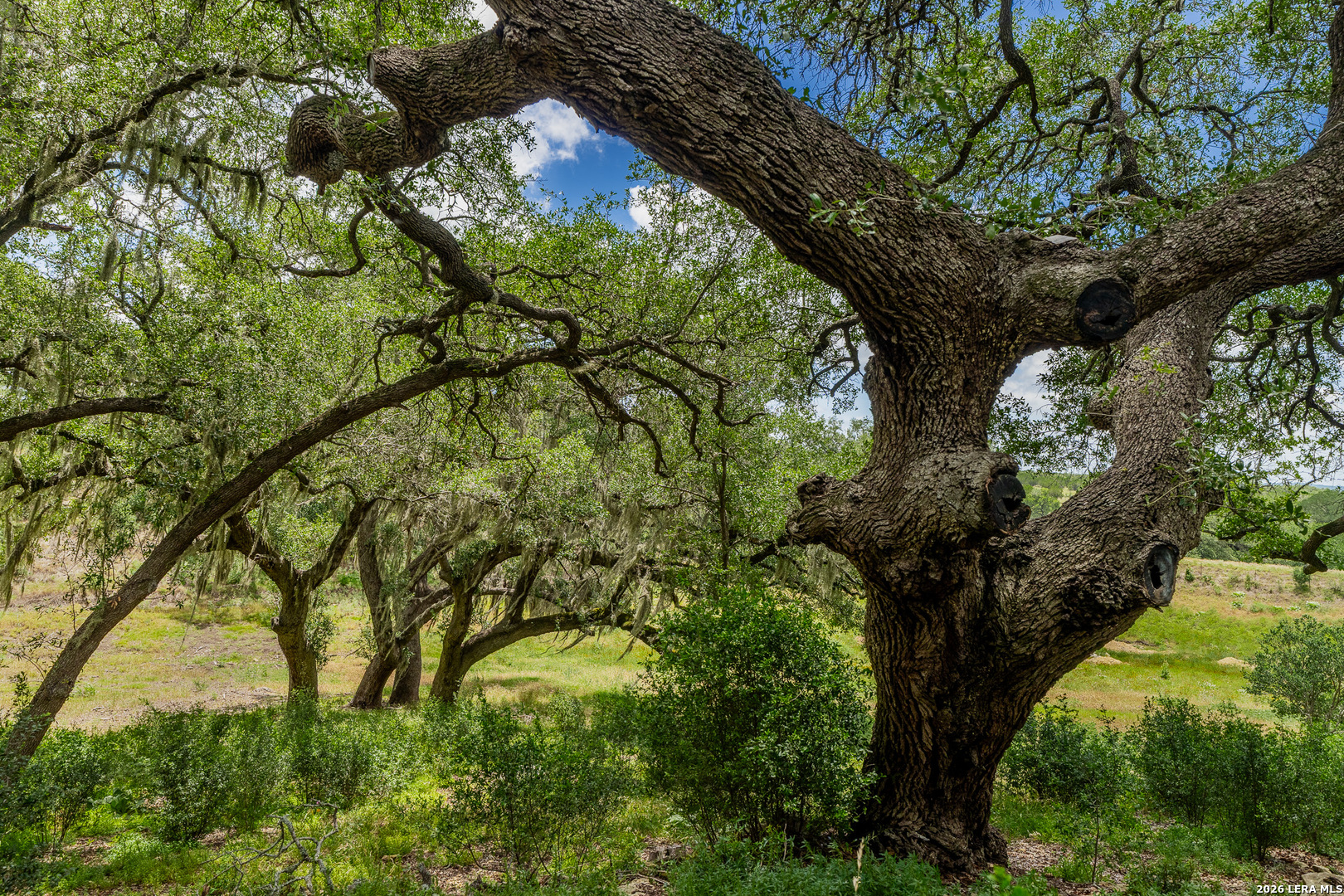 0007 Hidden Springs Ranch Spring Branch TX 78070