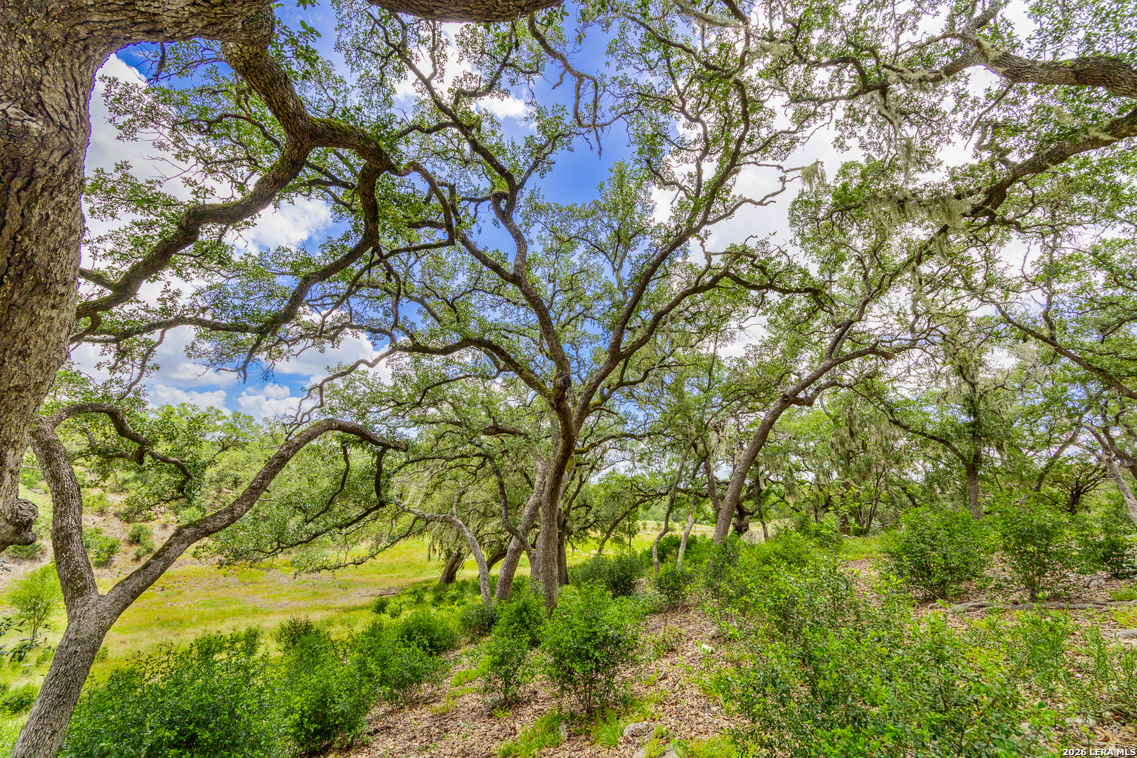 0007 Hidden Springs Ranch Spring Branch TX 78070