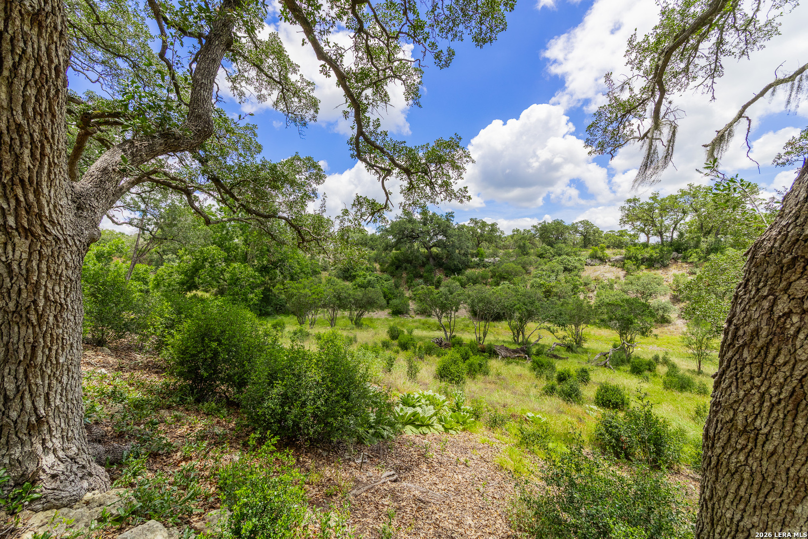 0007 Hidden Springs Ranch Spring Branch TX 78070