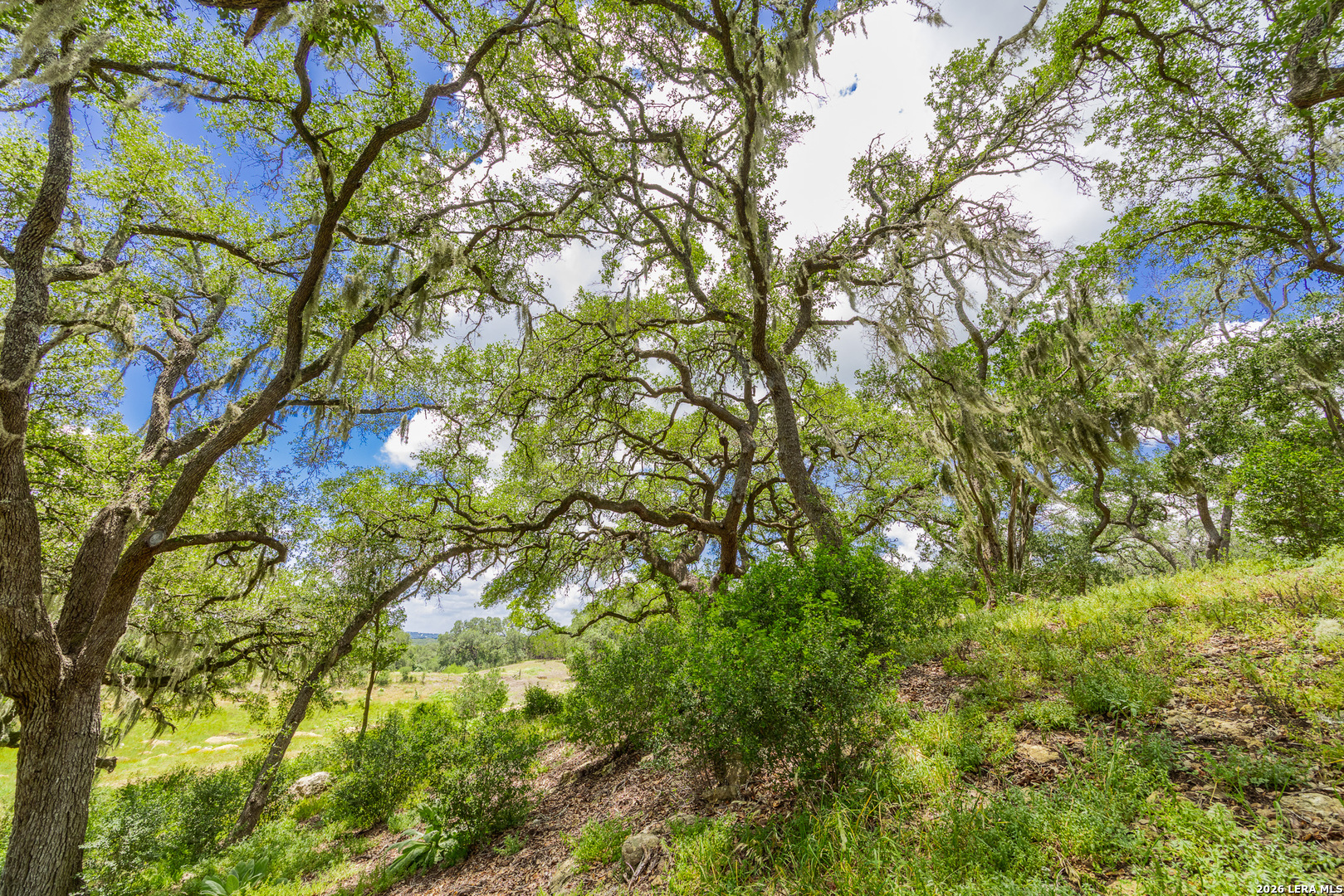 0007 Hidden Springs Ranch Spring Branch TX 78070