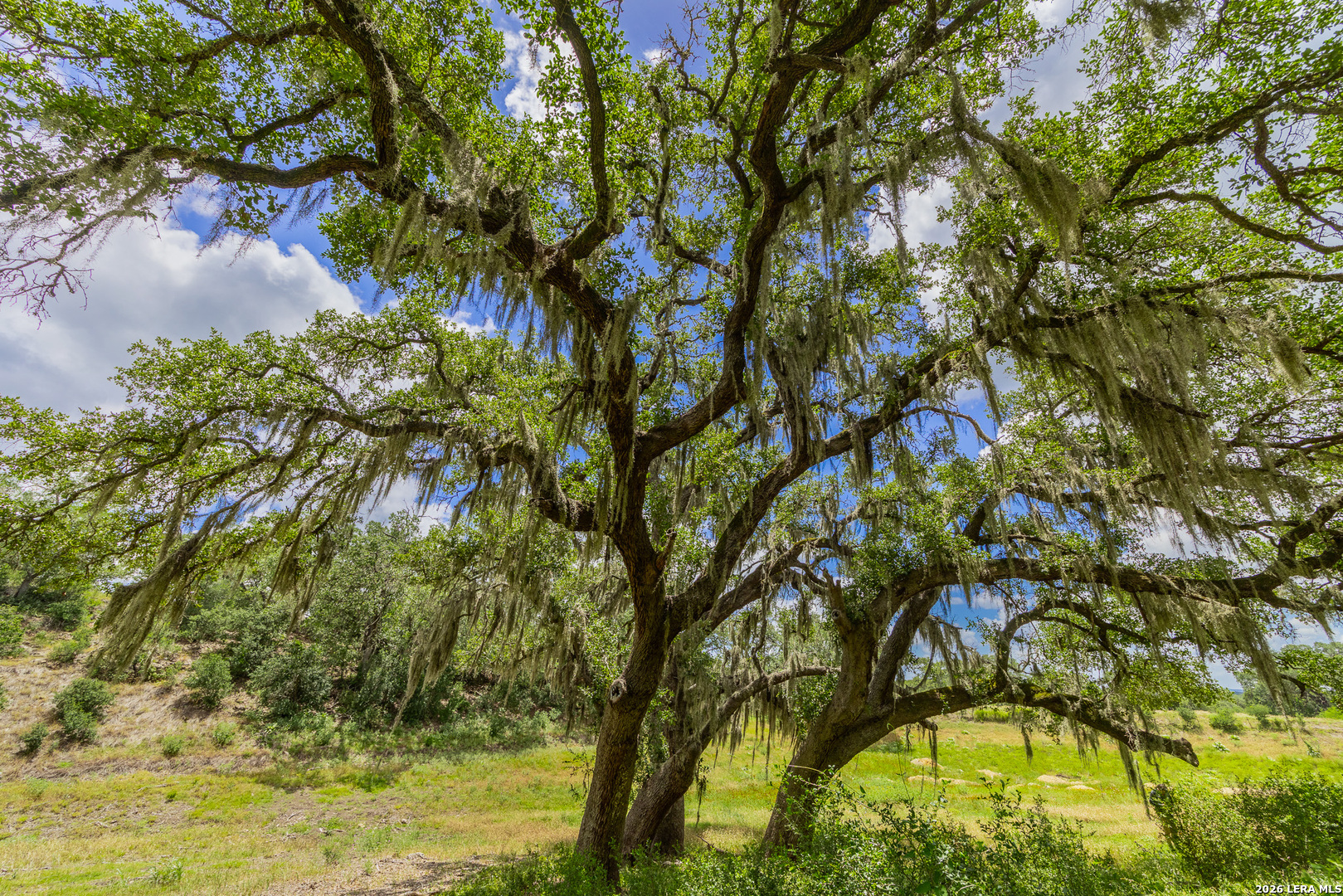 0007 Hidden Springs Ranch Spring Branch TX 78070