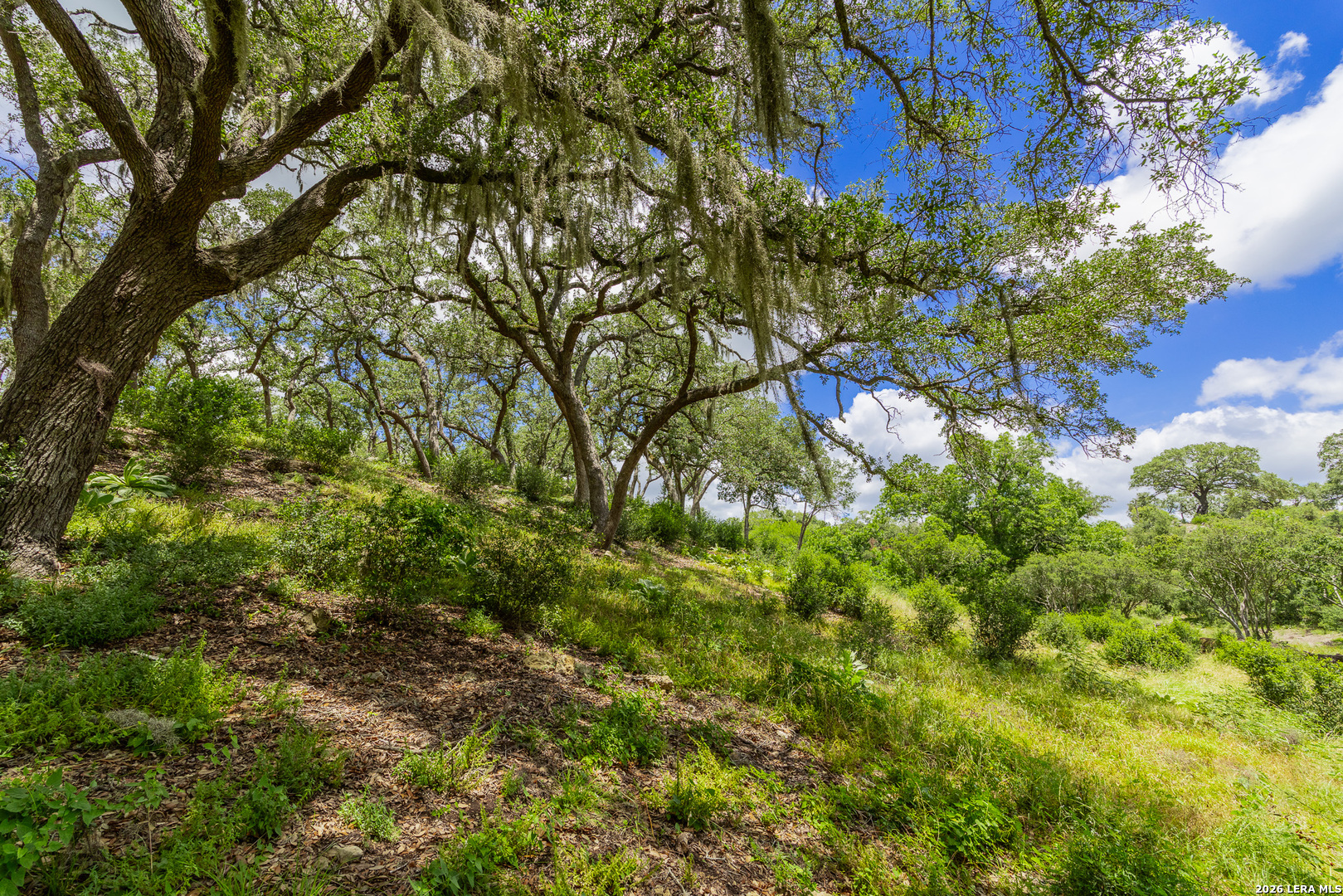 0007 Hidden Springs Ranch Spring Branch TX 78070