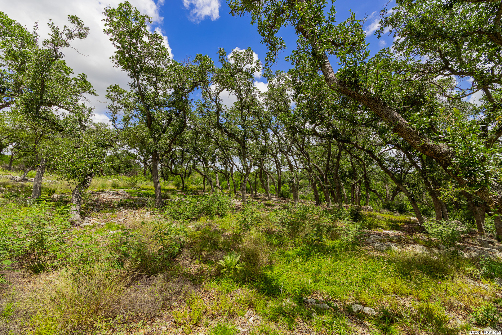 0007 Hidden Springs Ranch Spring Branch TX 78070