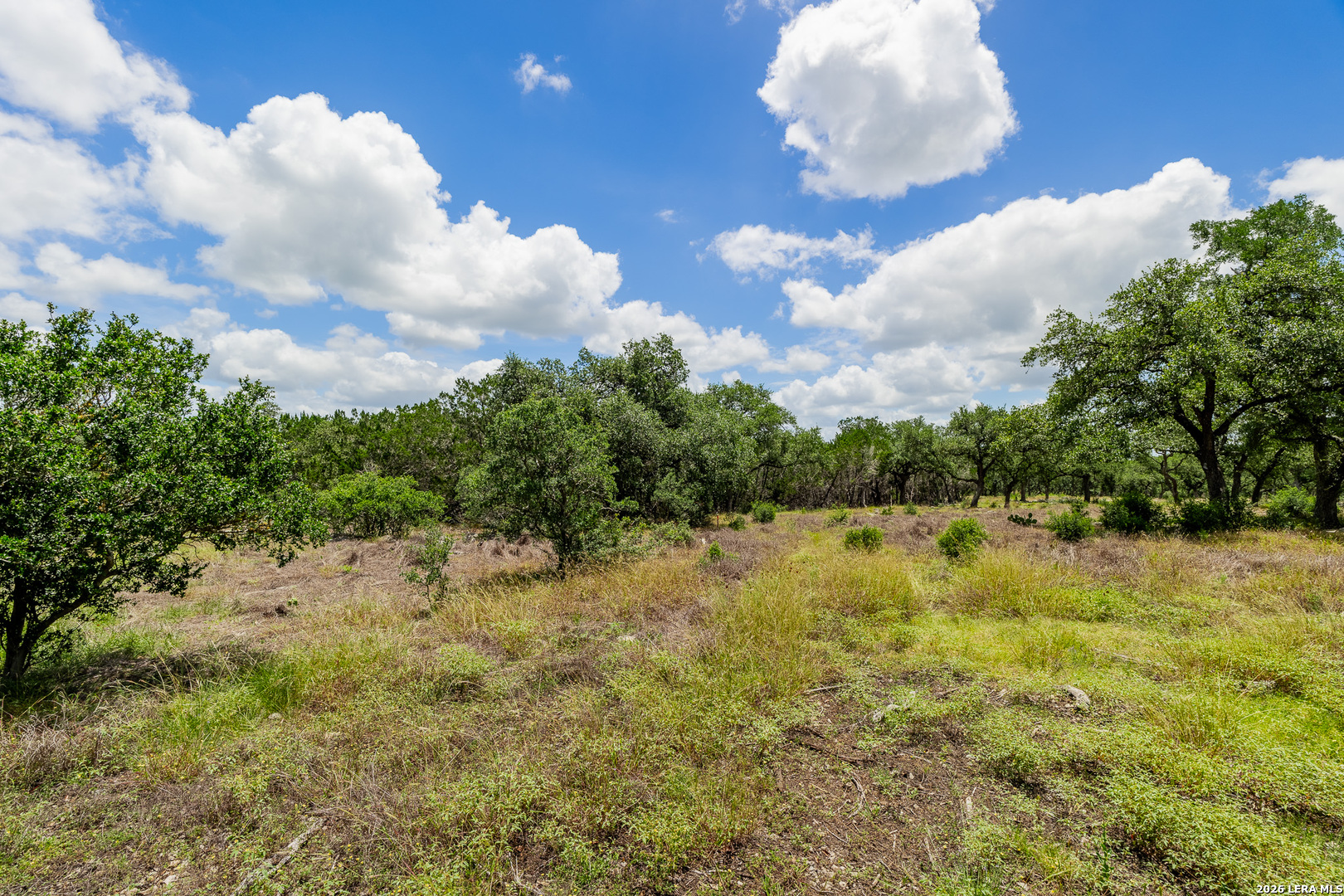 0007 Hidden Springs Ranch Spring Branch TX 78070