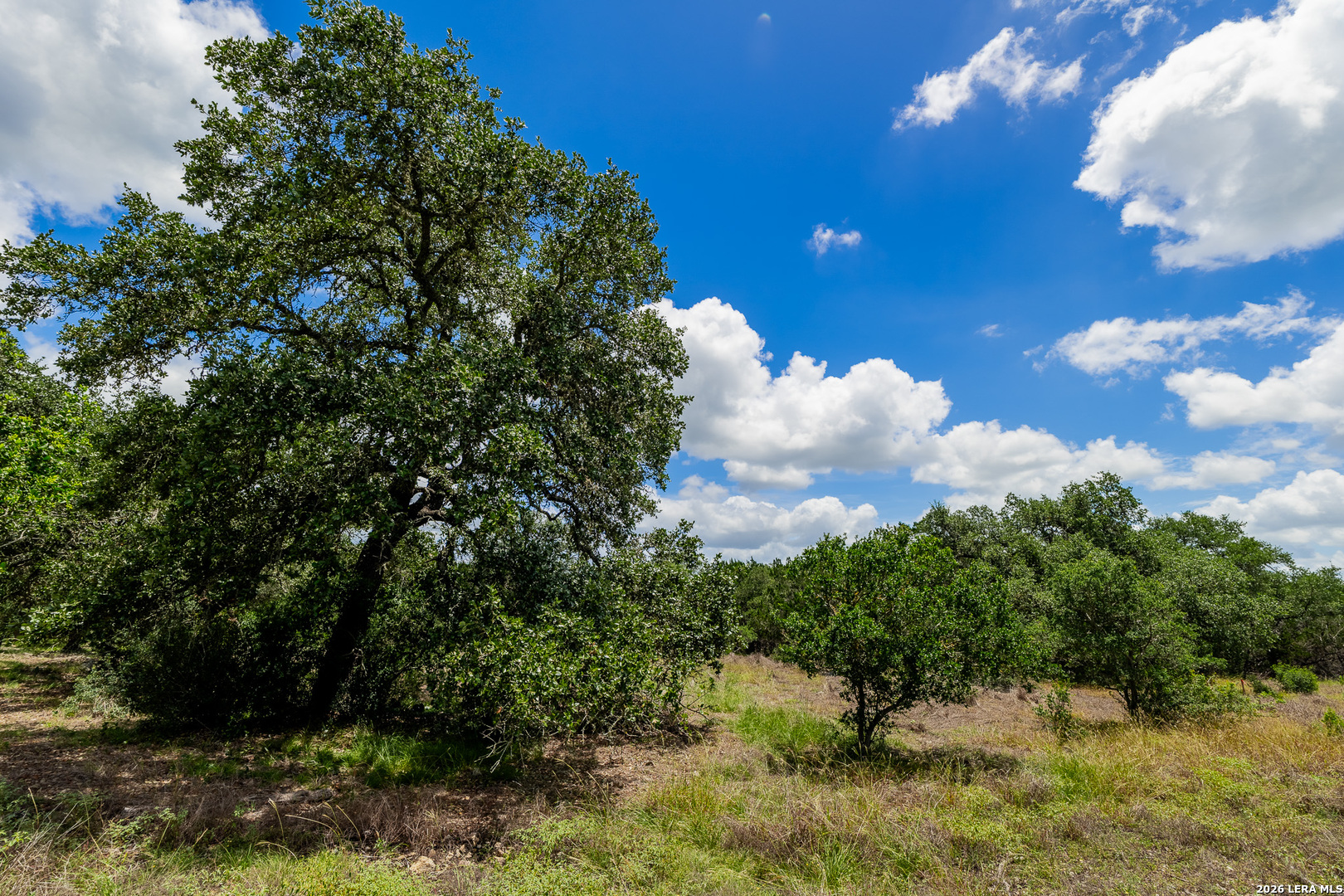 0007 Hidden Springs Ranch Spring Branch TX 78070