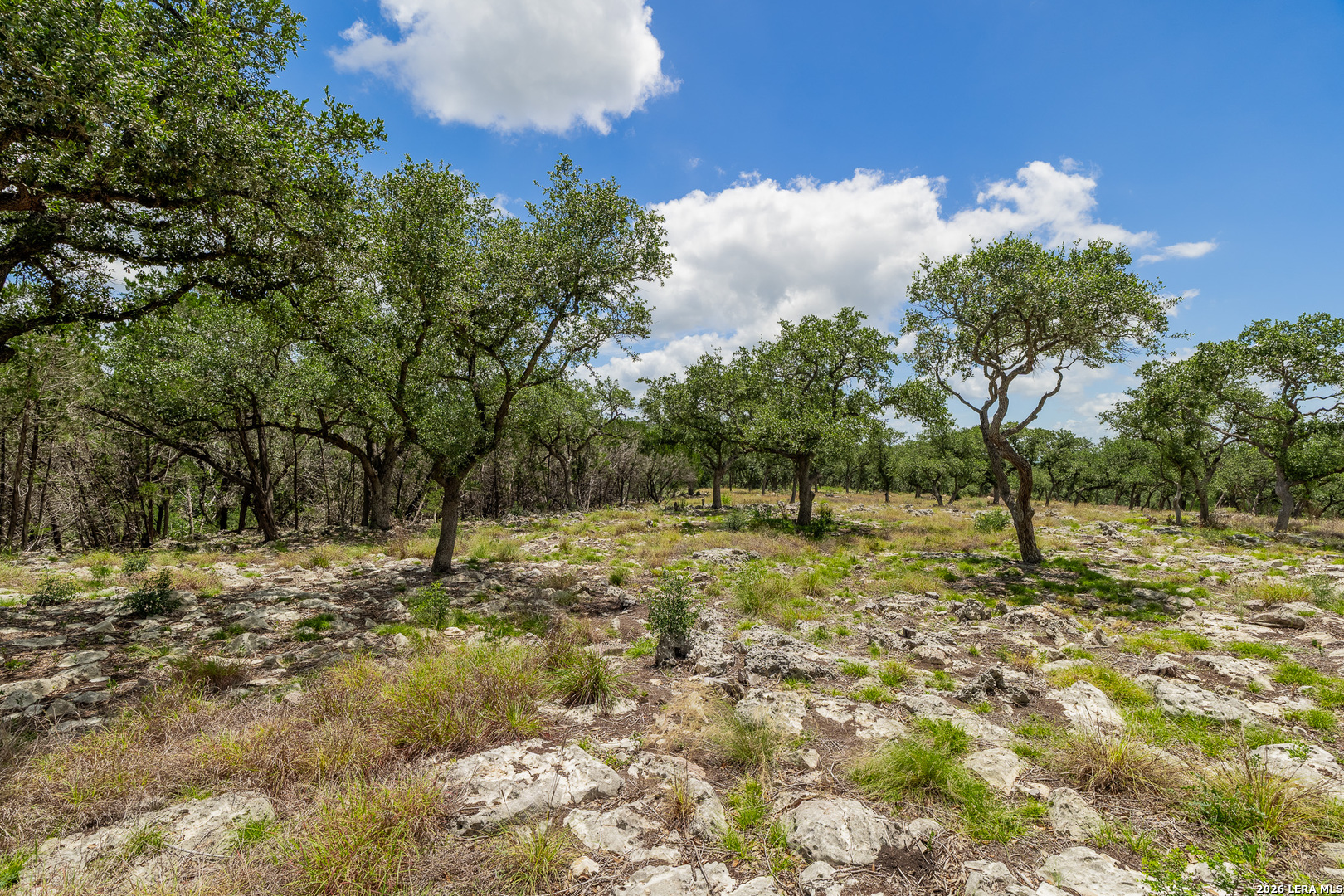 0007 Hidden Springs Ranch Spring Branch TX 78070