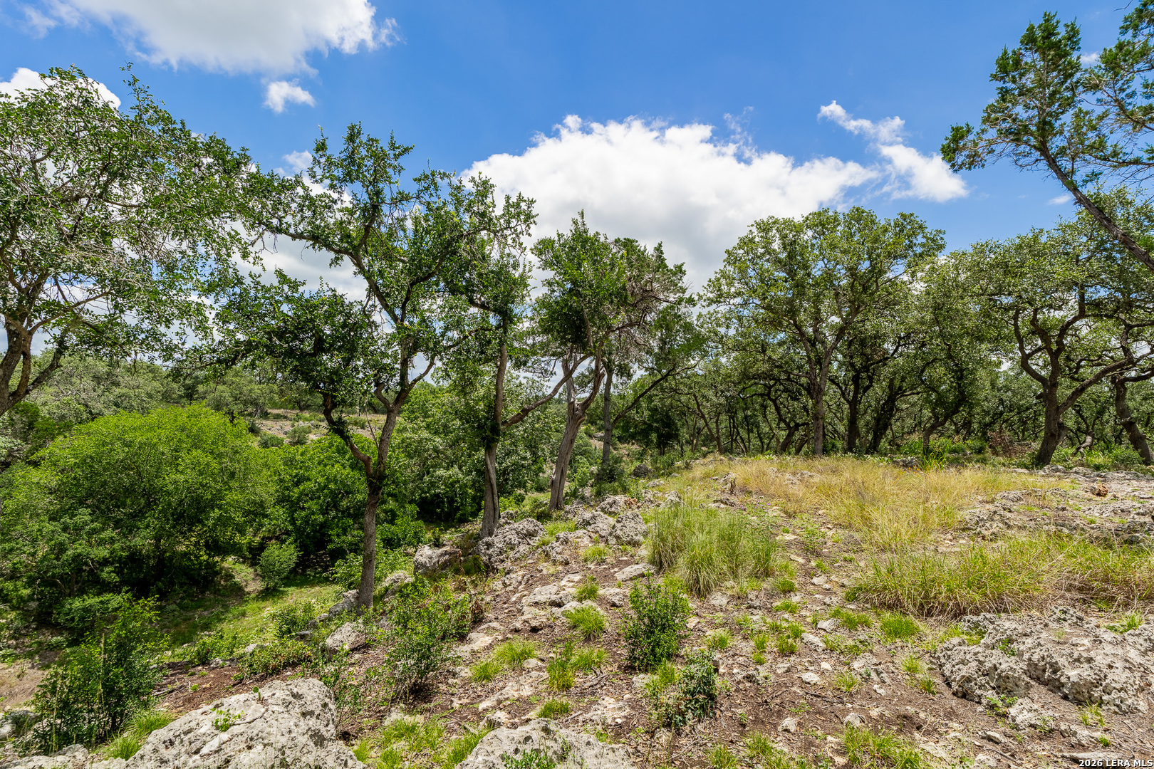 0007 Hidden Springs Ranch Spring Branch TX 78070