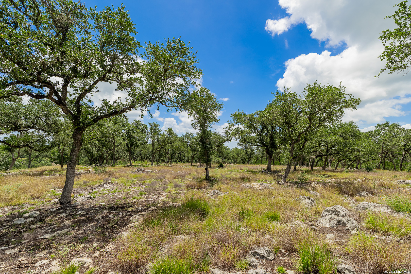 0007 Hidden Springs Ranch Spring Branch TX 78070