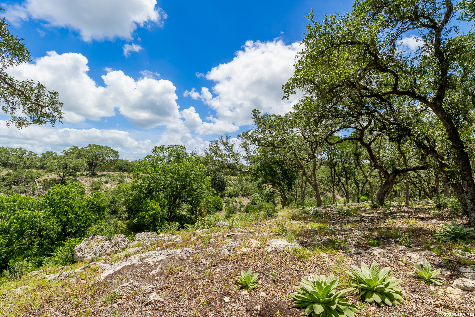0007 Hidden Springs Ranch Spring Branch TX 78070