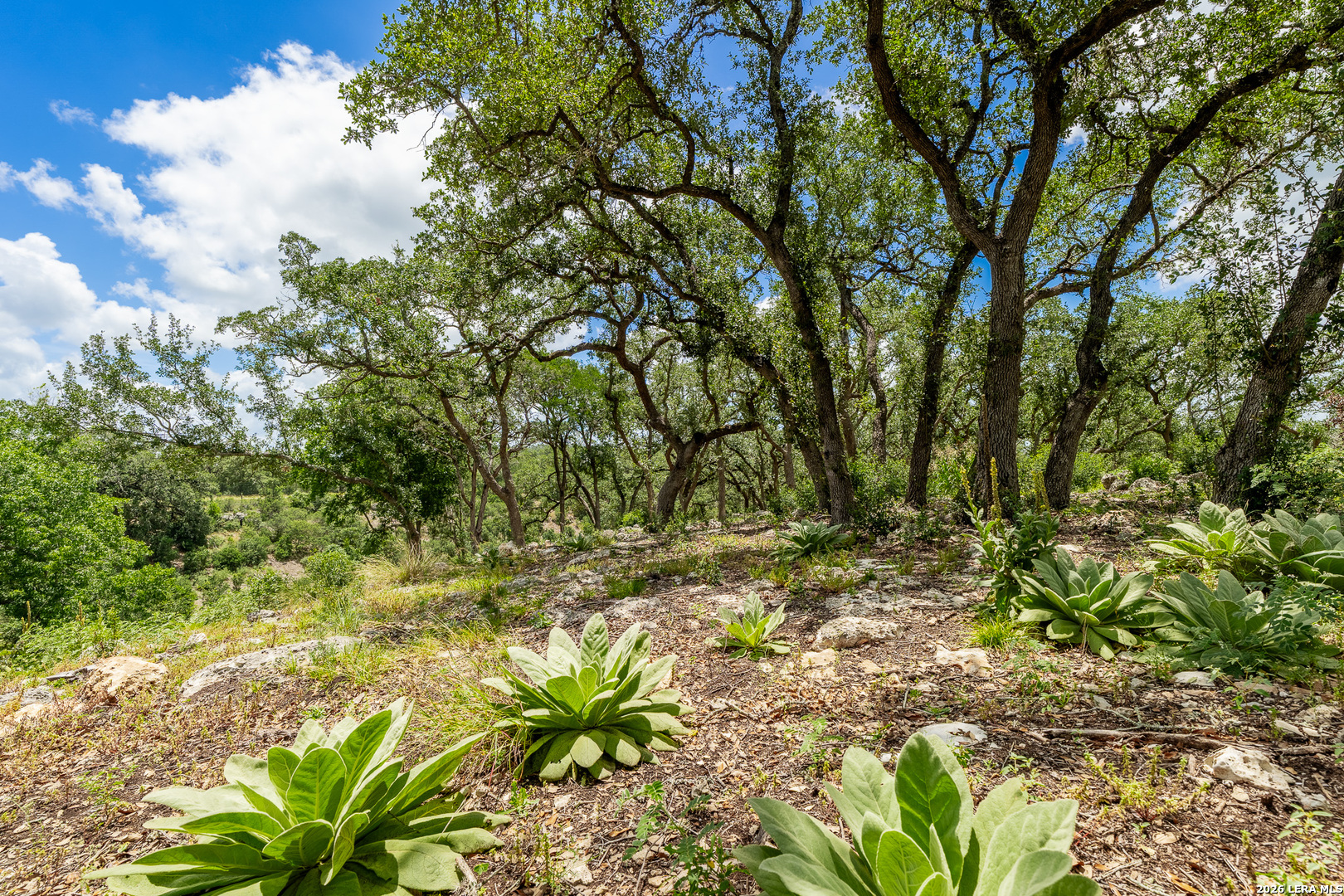 0007 Hidden Springs Ranch Spring Branch TX 78070