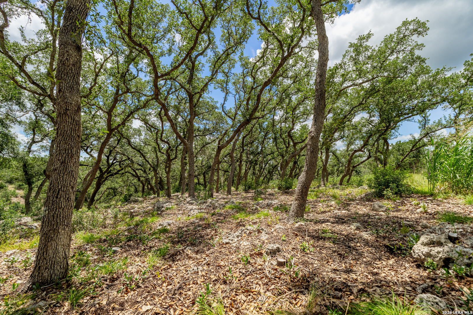 0007 Hidden Springs Ranch Spring Branch TX 78070