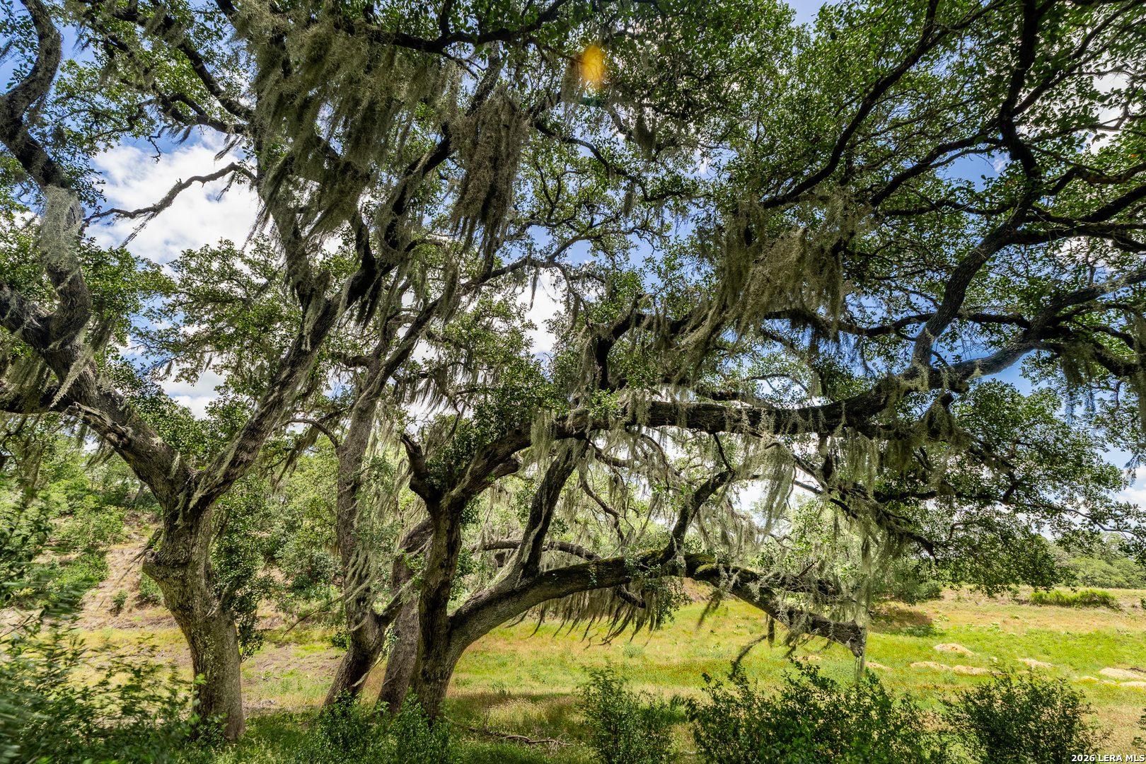 0007 Hidden Springs Ranch Spring Branch TX 78070