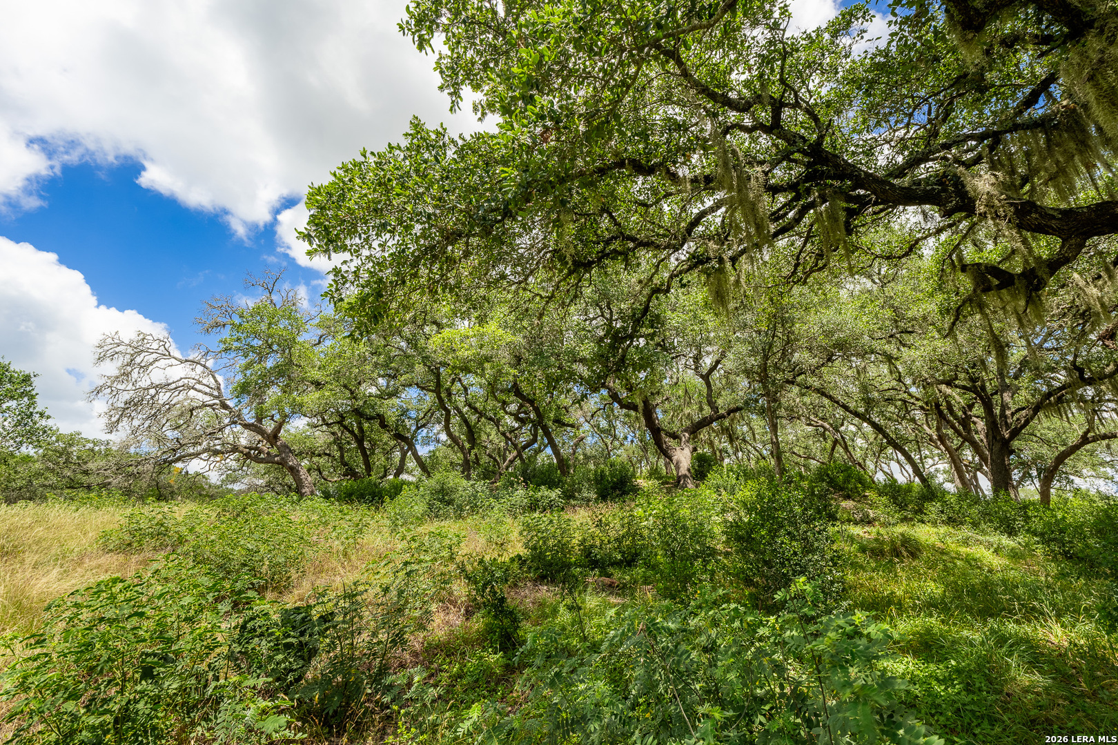 0007 Hidden Springs Ranch Spring Branch TX 78070