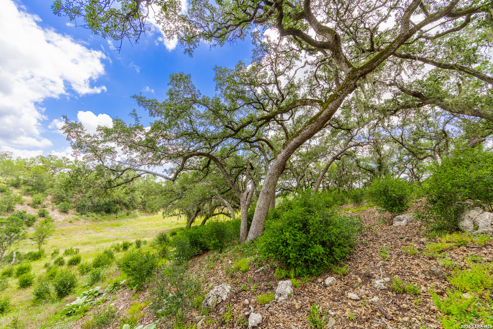 0007 Hidden Springs Ranch Spring Branch TX 78070