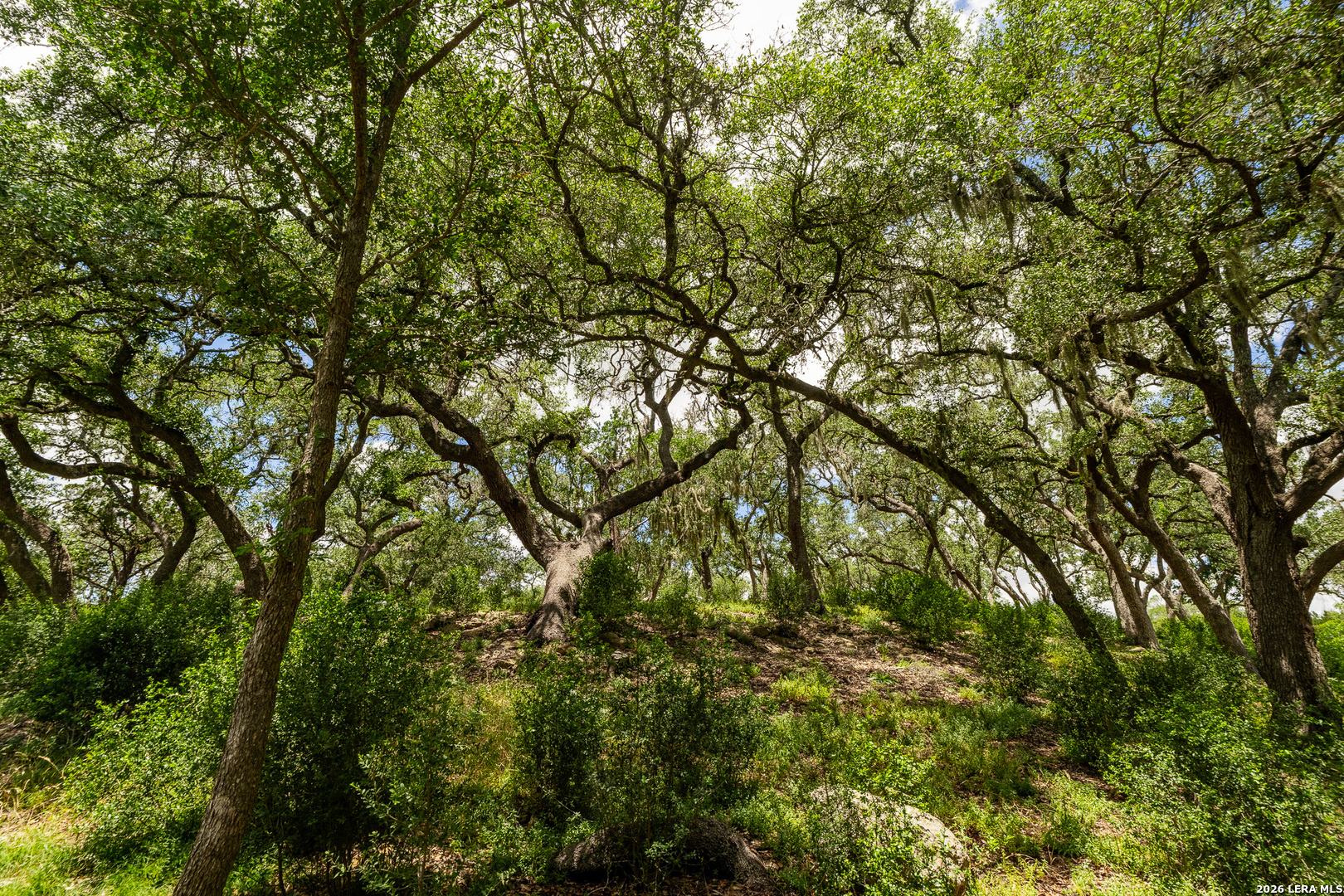 0007 Hidden Springs Ranch Spring Branch TX 78070