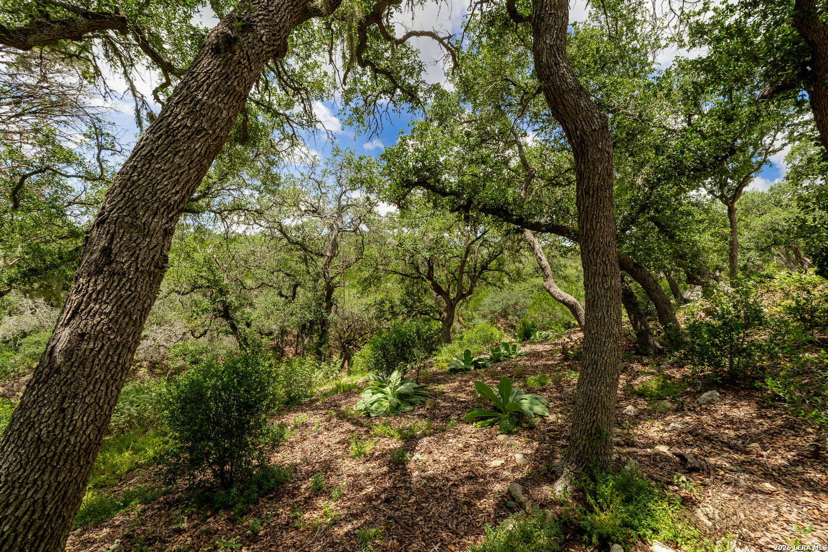 0007 Hidden Springs Ranch Spring Branch TX 78070