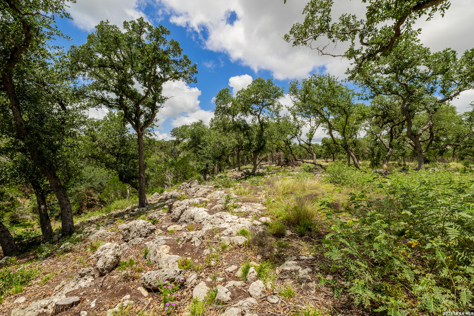 0007 Hidden Springs Ranch Spring Branch TX 78070