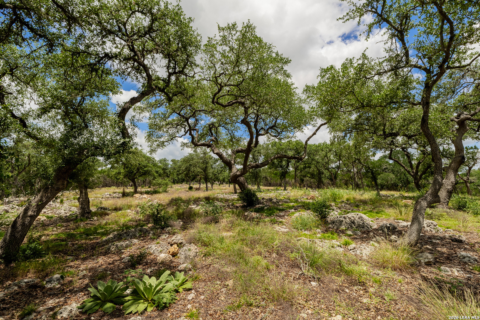 0007 Hidden Springs Ranch Spring Branch TX 78070