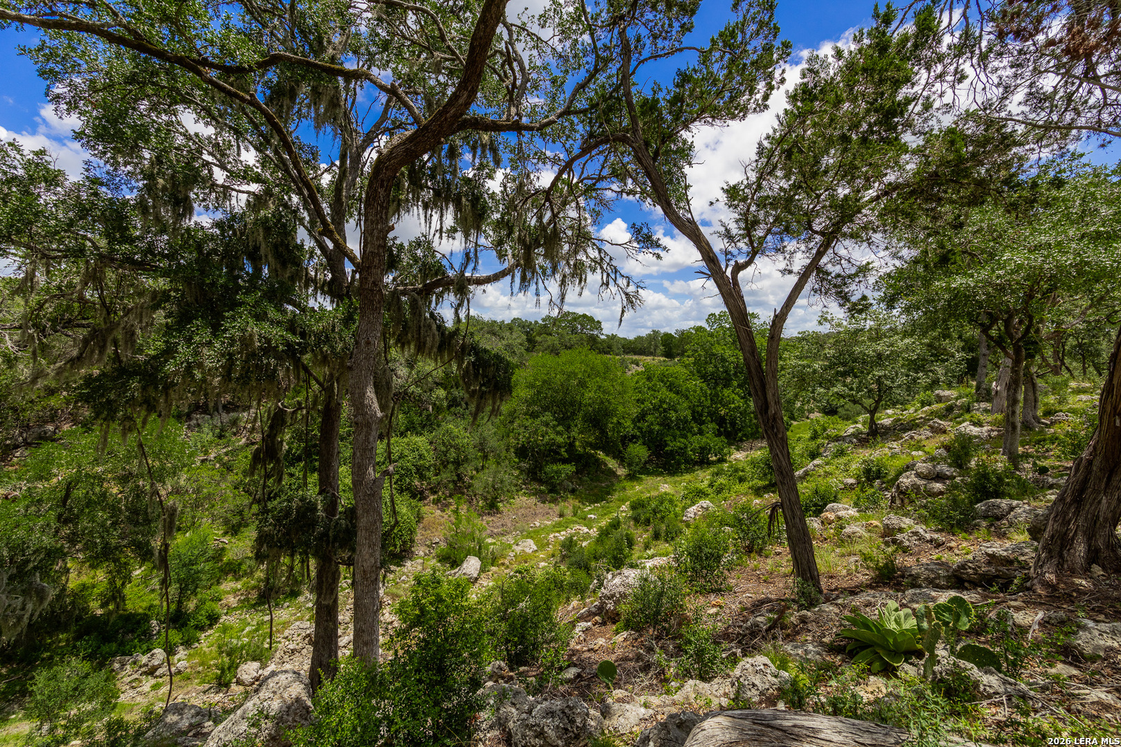 0007 Hidden Springs Ranch Spring Branch TX 78070