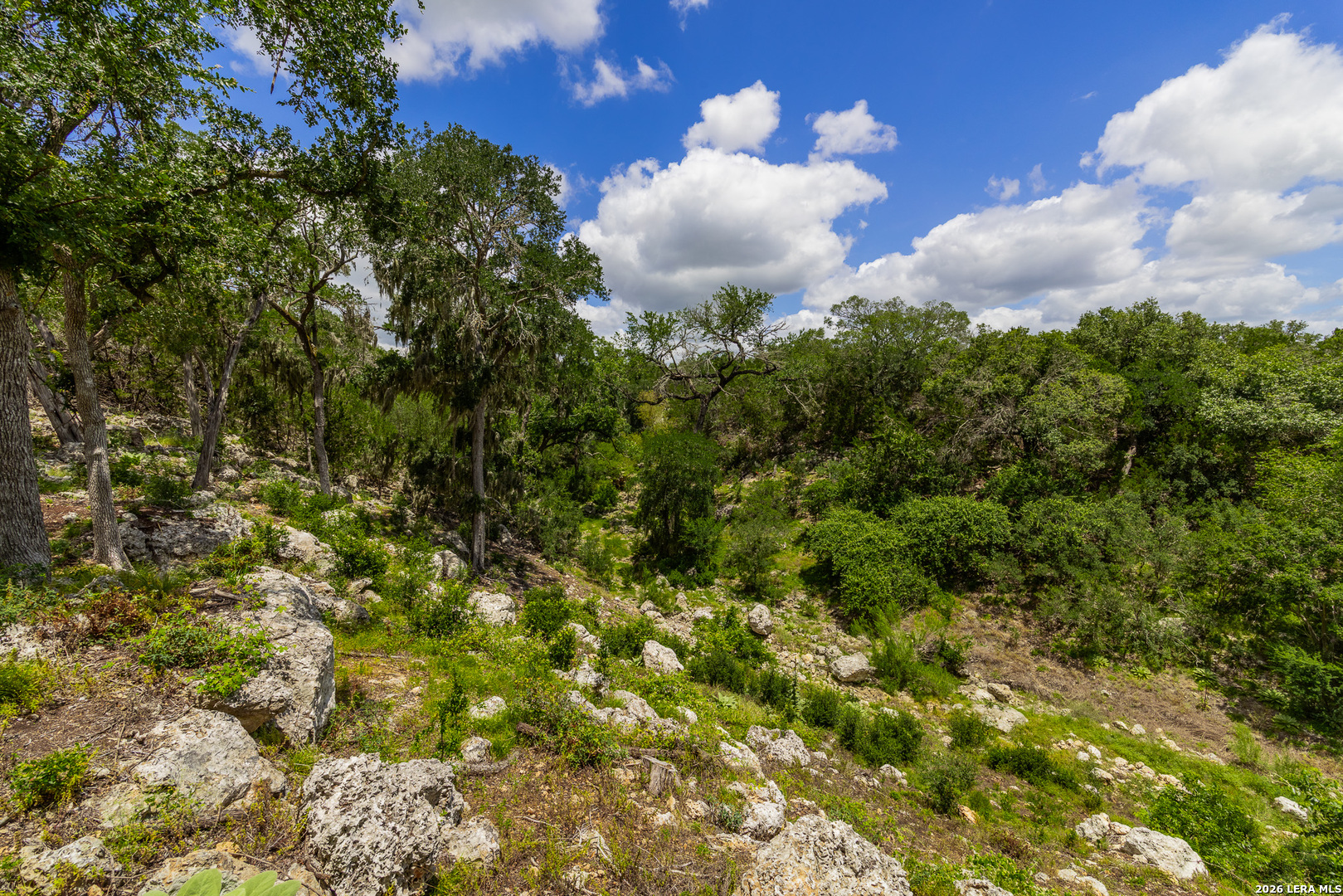 0007 Hidden Springs Ranch Spring Branch TX 78070