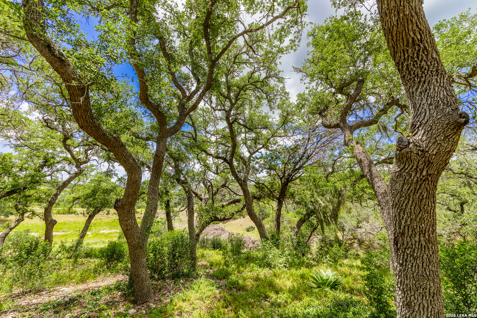 0007 Hidden Springs Ranch Spring Branch TX 78070