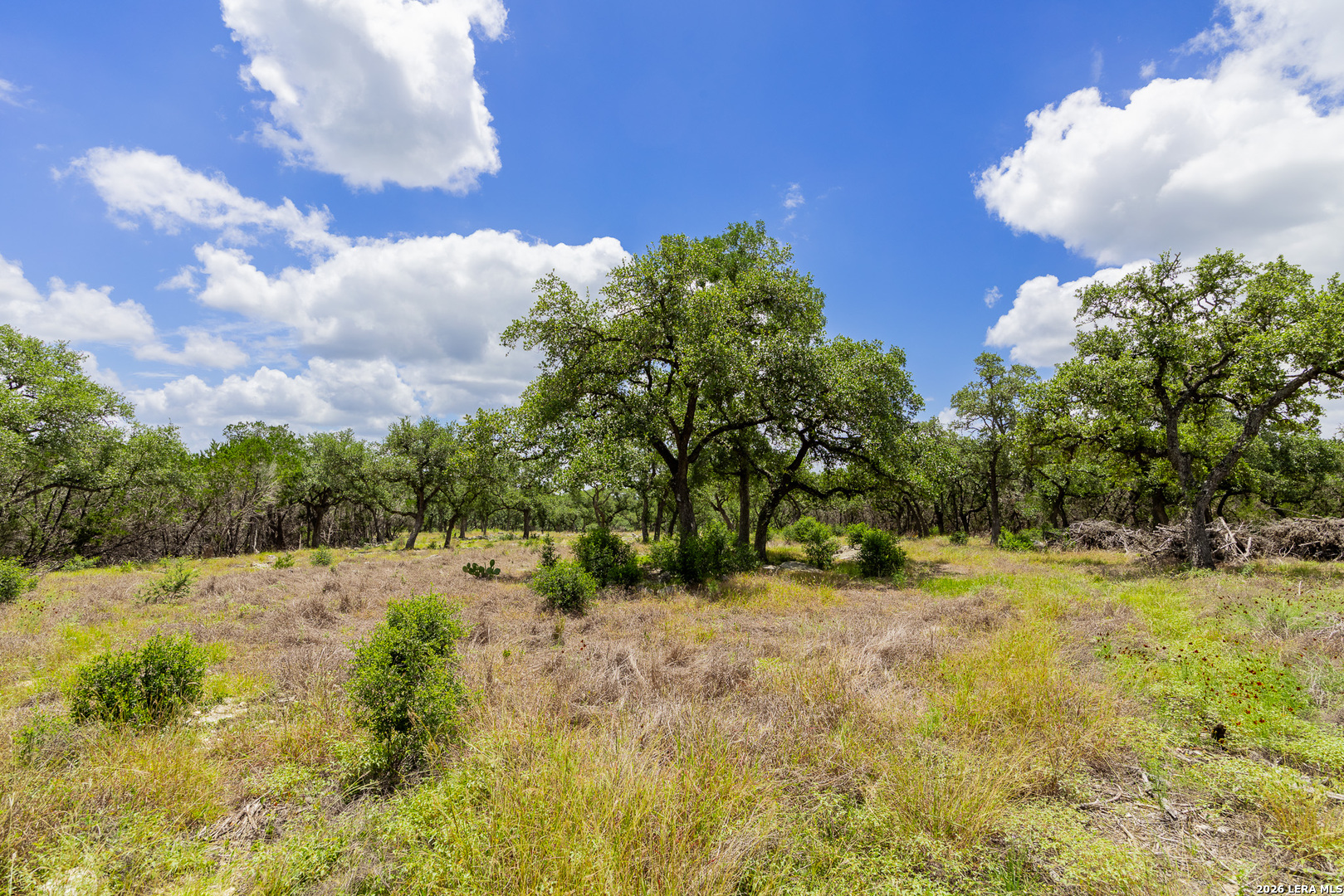 0007 Hidden Springs Ranch Spring Branch TX 78070