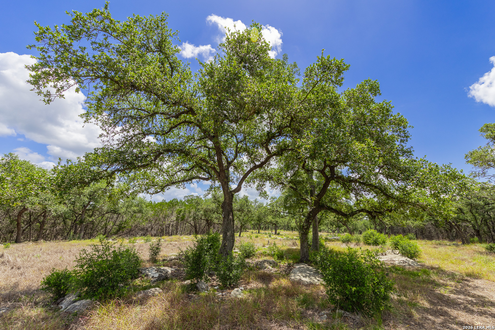 0007 Hidden Springs Ranch Spring Branch TX 78070
