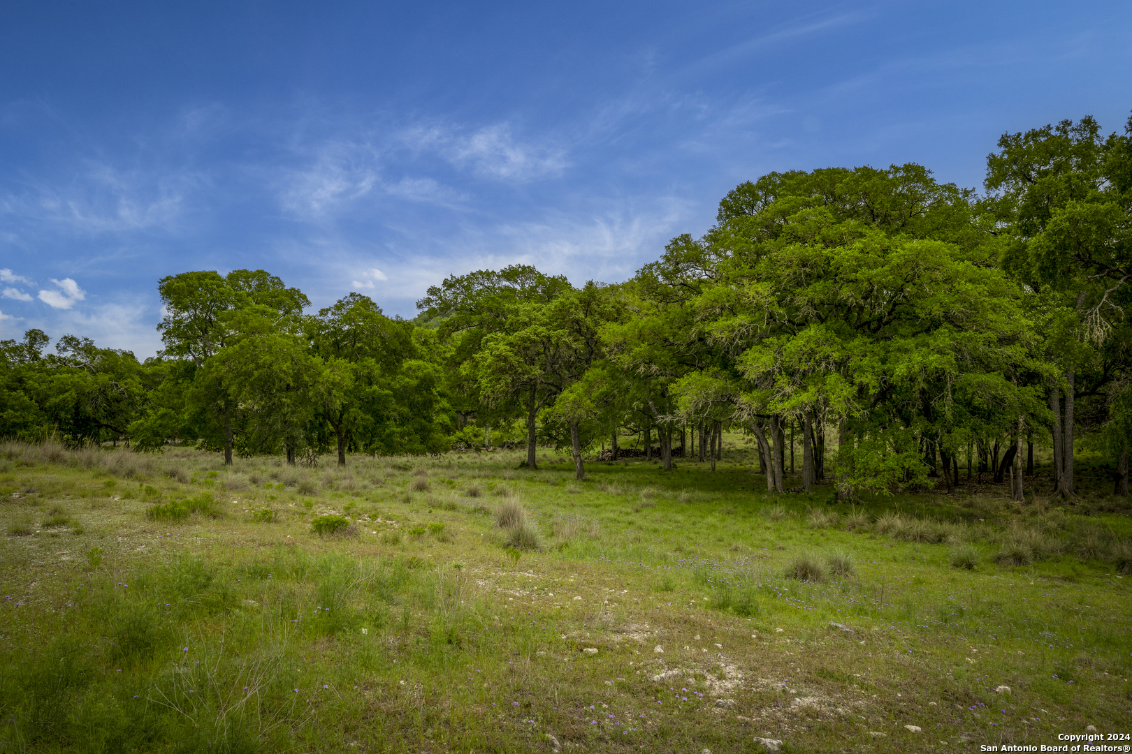 385 N Settlers Way Comfort TX 78013