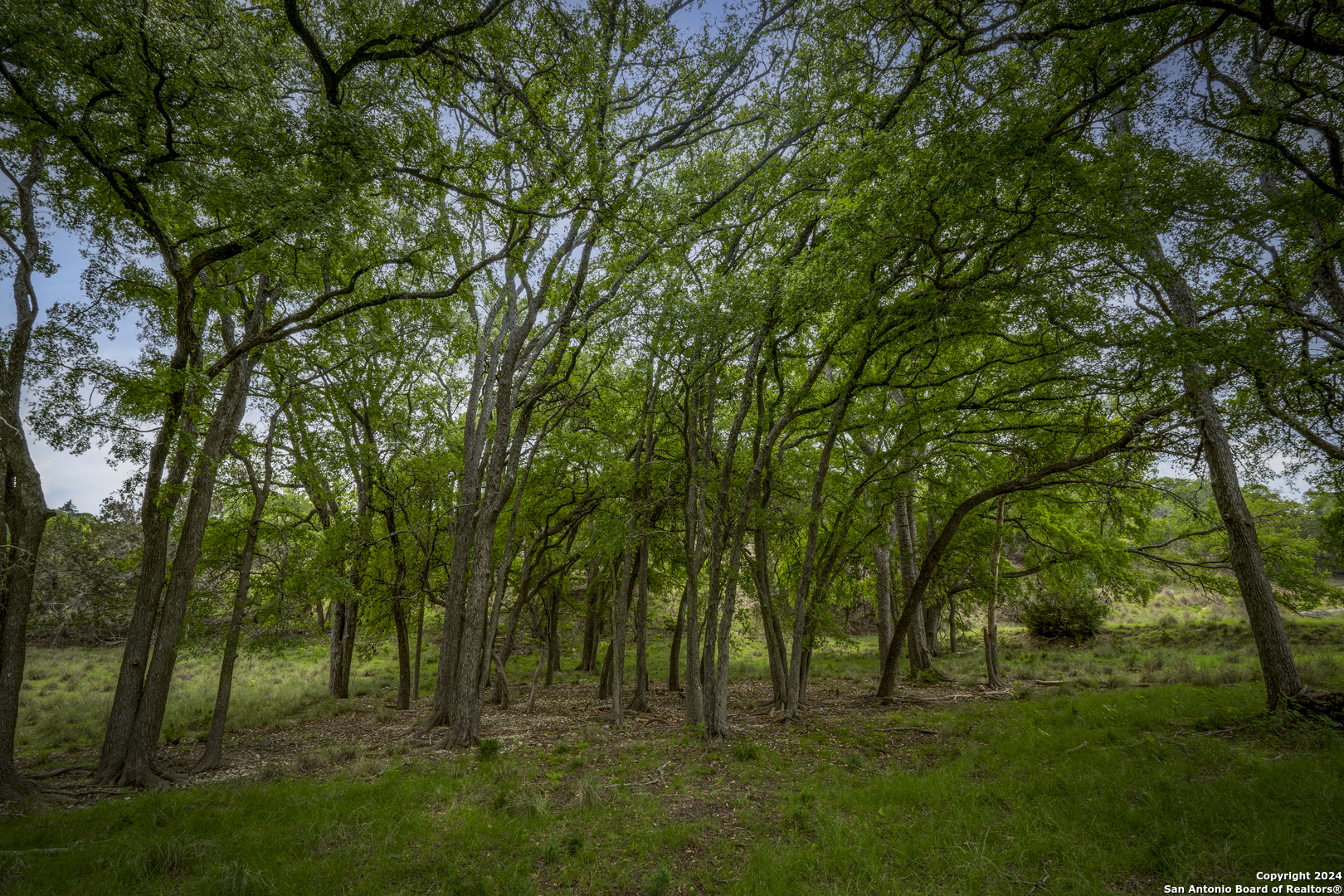 385 N Settlers Way Comfort TX 78013