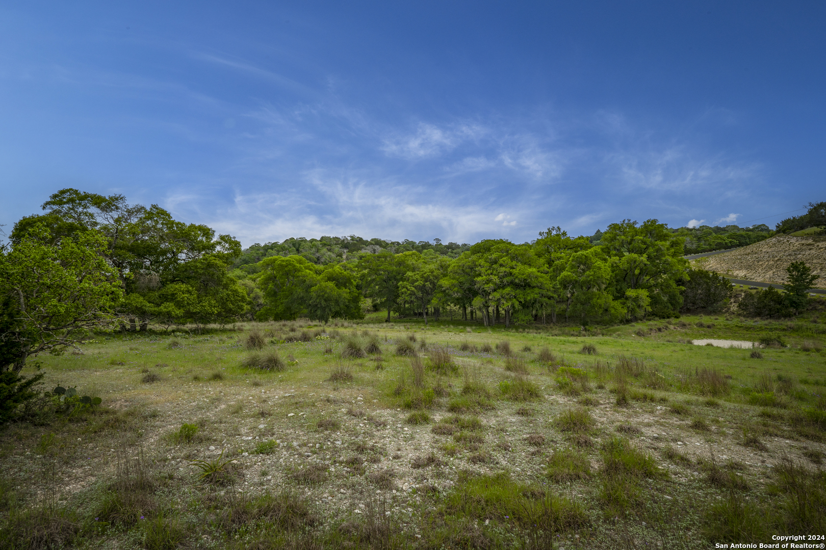 385 N Settlers Way Comfort TX 78013