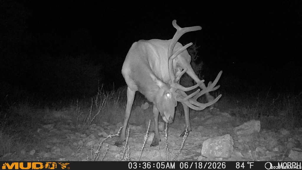 76 Alamo Ranch Rocksprings TX 78880