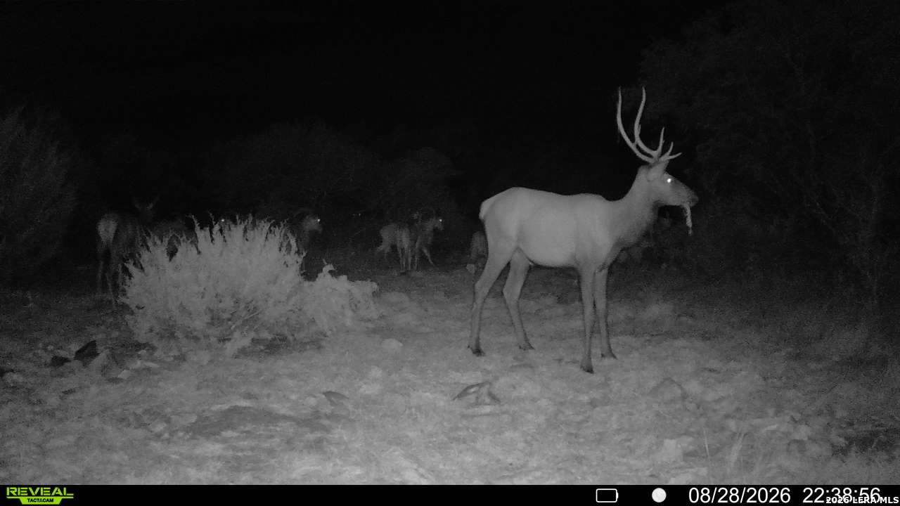 76 Alamo Ranch Rocksprings TX 78880